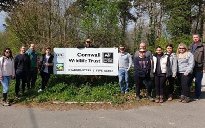 Volunteer Day at Cornwall Wildlife Trust